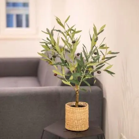 Appartamento Canta *