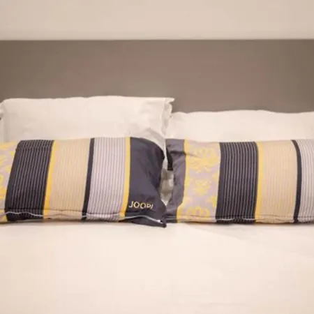 Appartamento Canta *